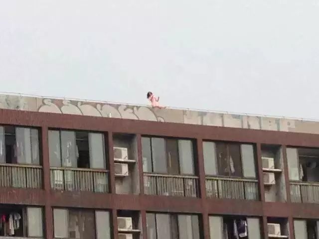 自从藏龙岛有了南延线,我就再没羡慕过别人家的学校!