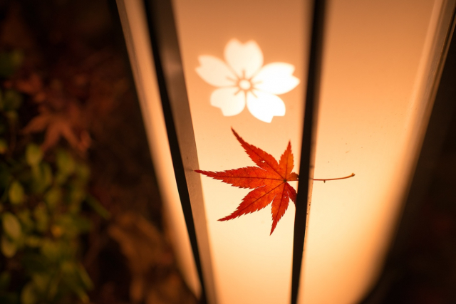 佳能g1xmarkiii论坛,带着佳能看风景