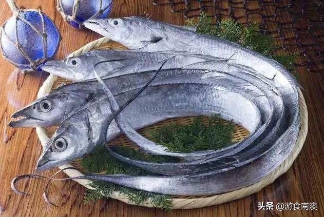 常见海鱼哪些好吃,常见的5种海鱼营养价值高