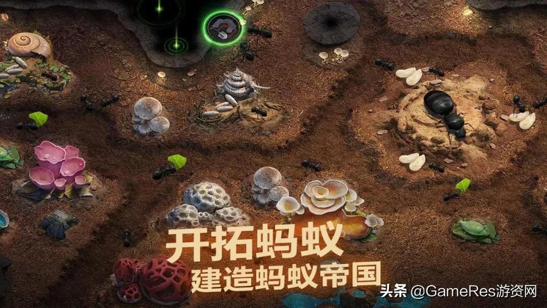 《小小蚁国》跻身8月出海收入榜，题材创新“卷”向动物领域？