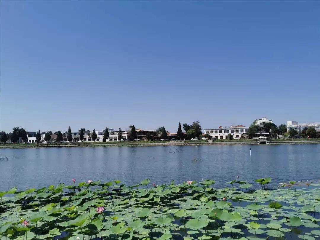 真正的龙湖在哪,真实的龙湖图片