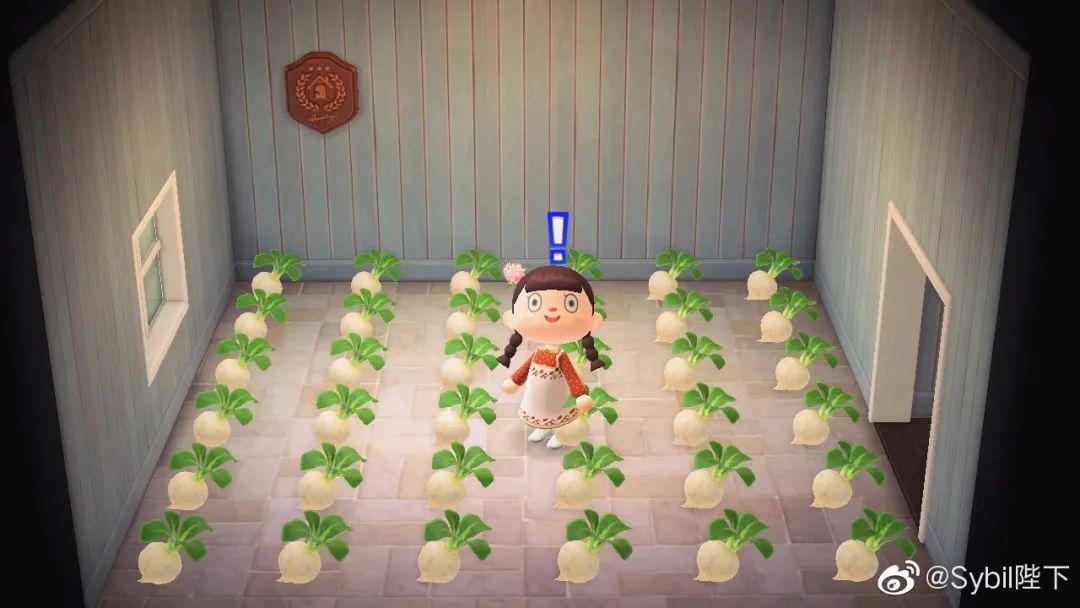 《动物森友会》实现了中国玩家的终极梦想：种田