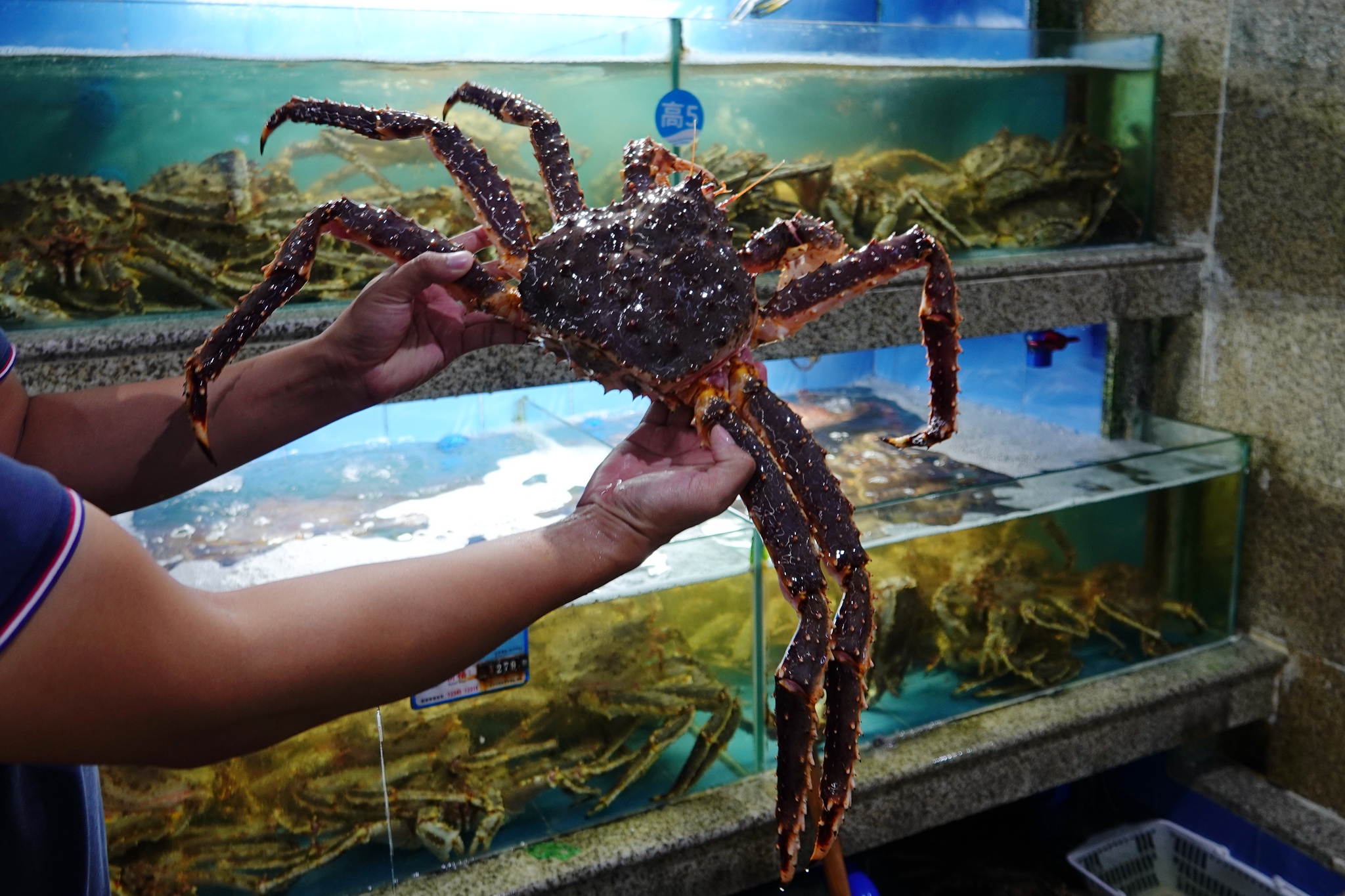 三亚海棠湾亚特兰蒂斯,三亚海棠湾和泓海棠府