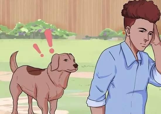 被狗狗咬应该如何抵抗,狗狗被攻击了如何安慰