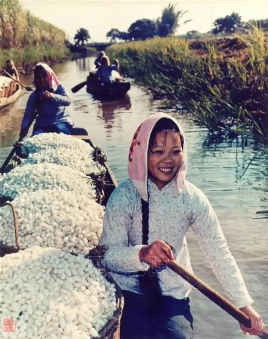 乡情散文珍贵的童年,怀念我的姐姐散文