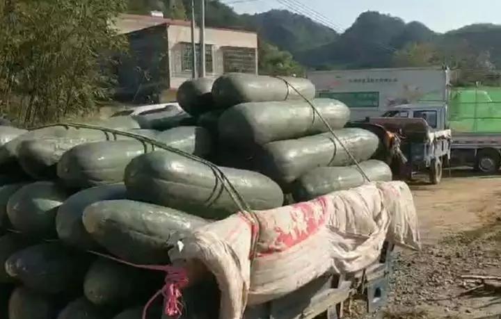 只要机器热起来，就有希望！