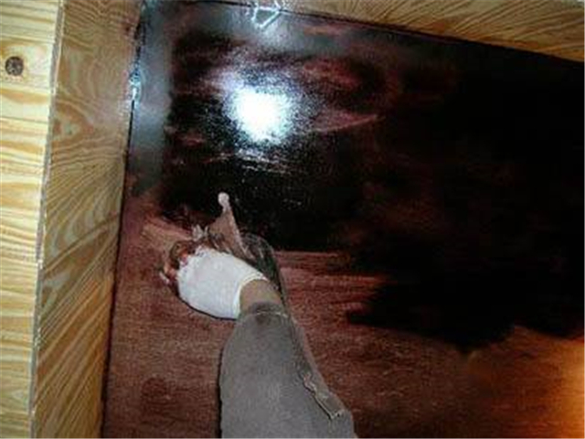 木材染色技术让木材更值钱原创,木材染色技术原理