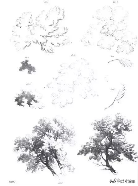 静物素描风景图临摹,简单又好画的彩铅素描风景图