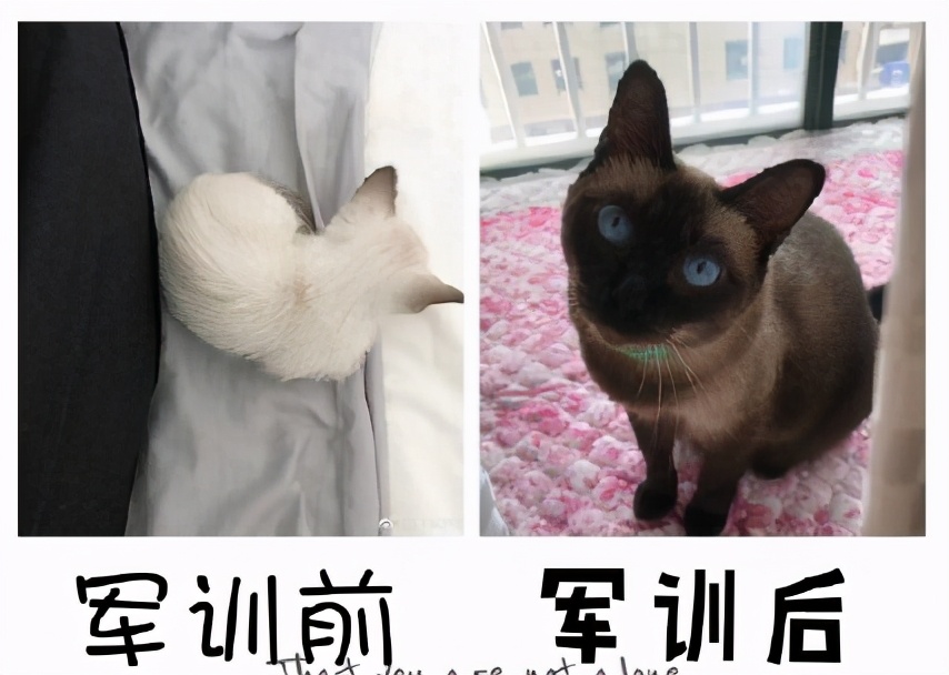 亲测有效的美白精华推荐,亲测有效的美白淡斑产品