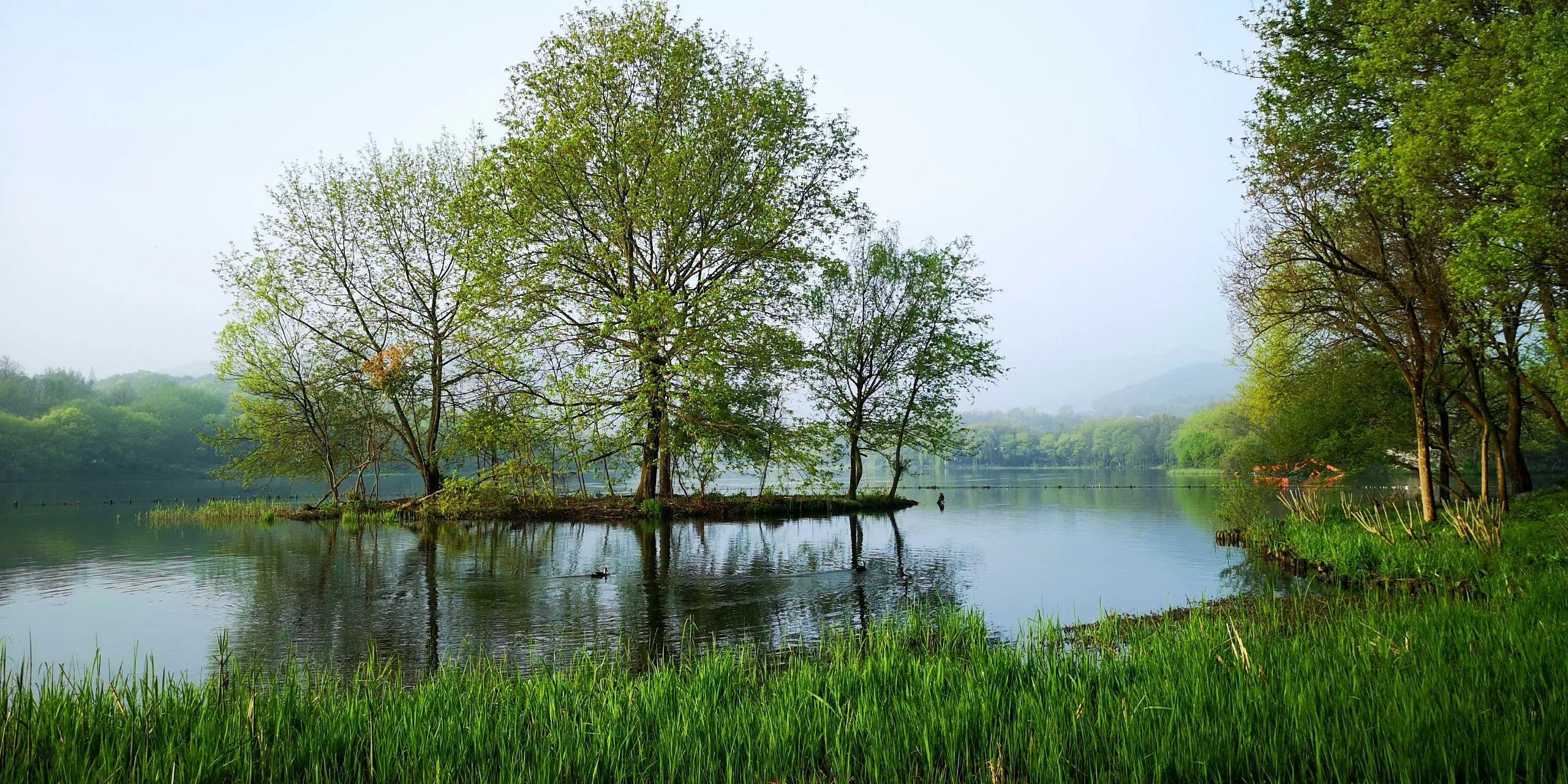 王羲之兰亭集序秘密,王羲之的秘密