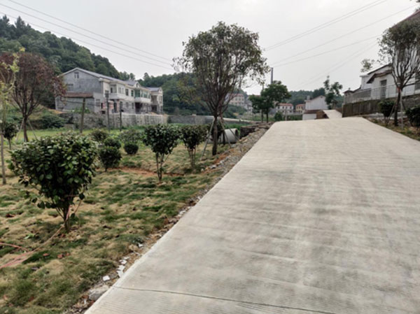 桃李芬芳百花齐放,花开满园桃李芬芳