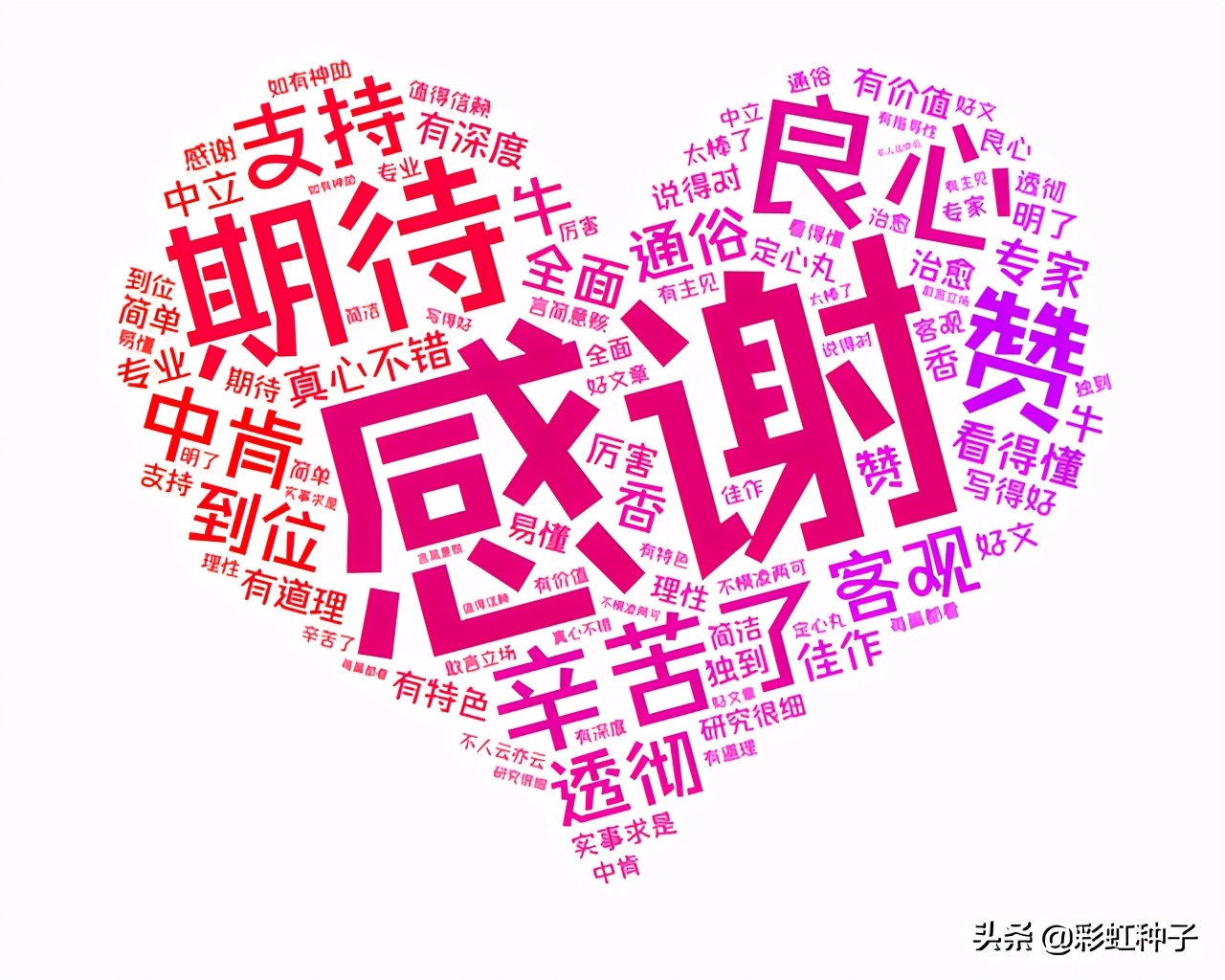 NO.491｜汇添富基金杨瑨-汇添富数字未来，值不值得买？