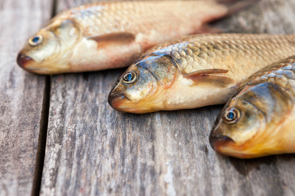 野钓鲫鱼绝密技巧大全,野钓钓鲫鱼技巧详解全攻略