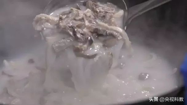 中国影像方志|隆尧：李唐故里招子鼓高亢激昂，泽畔鲜藕、羊肉汤香飘万里