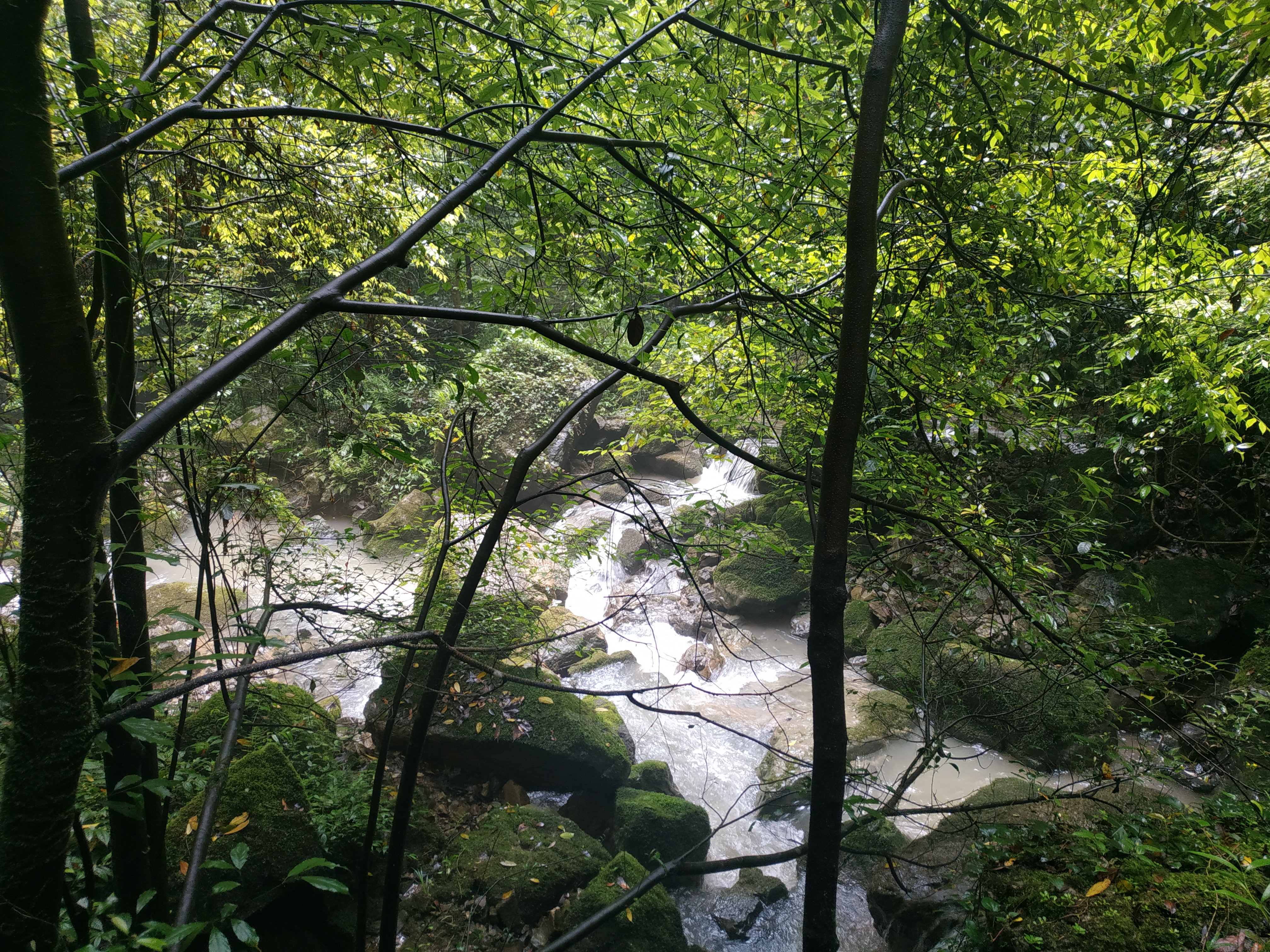 山城重庆的夜别样的美,重庆四天三夜