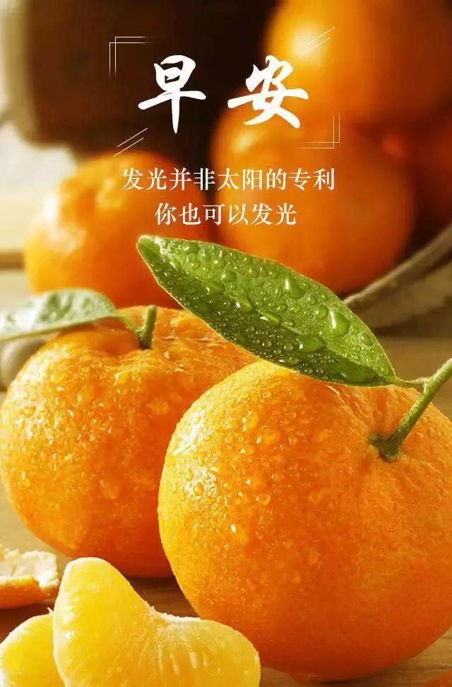 早安人生最美丽的句子简短,人生最美的是那回眸一笑的洒脱