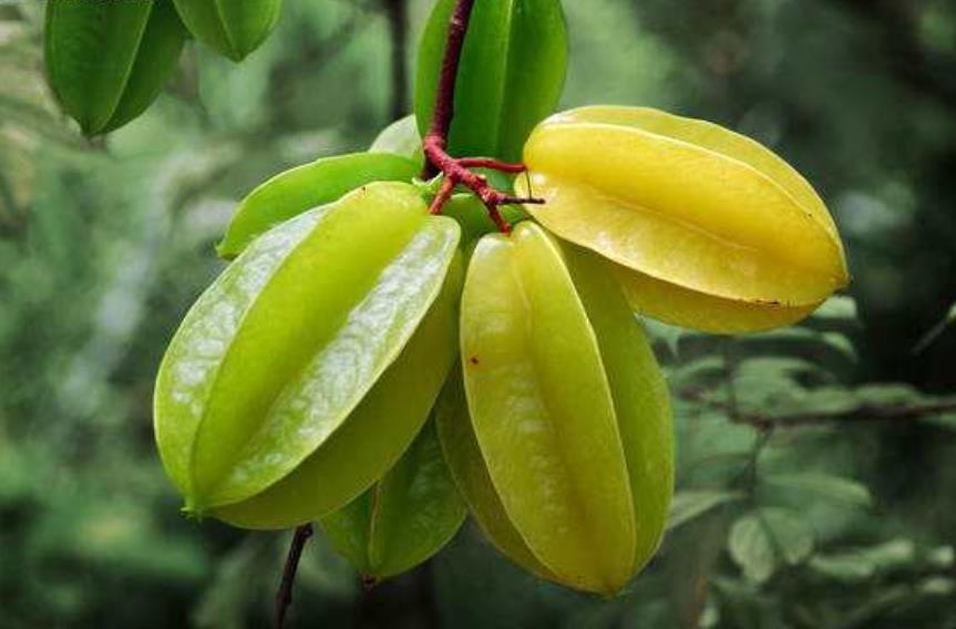 为人处世记住这五大忠告,老人言做人八大忌