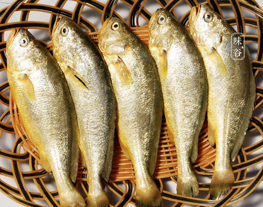 什么鱼鱼刺少又好吃还便宜,鱼刺少什么鱼最好吃