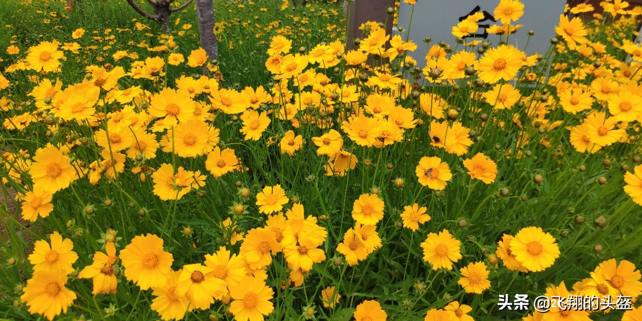 戒台寺郊野公园攻略,戒台寺郊野公园