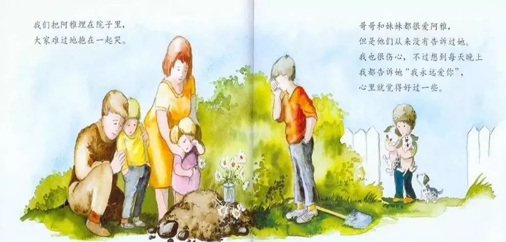 绘本我永远爱你文字内容,绘本我永远爱你视频