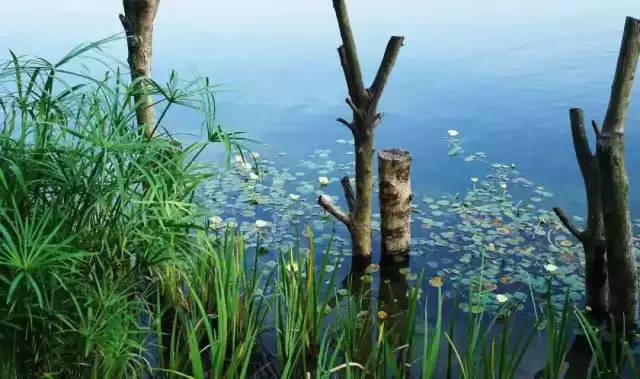 看看纽约中央公园的美景,真实的纽约中央公园