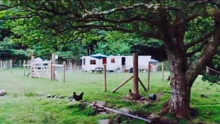 隐居深山30年以种地为生,隐居深山生活养动物