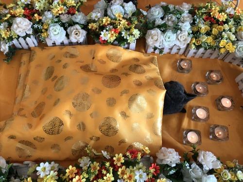 宠物老鼠死了怎么处理,宠物狗死了怎么处理