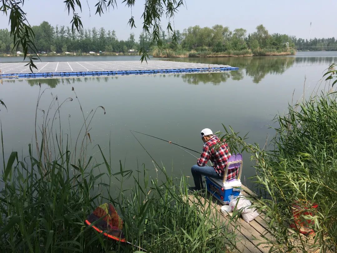 走进北京蟹岛垂钓园,蟹岛垂钓园联系方式