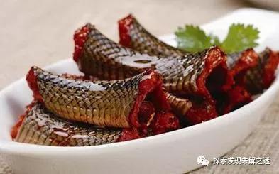 十大不能吃的野生蝙蝠,野生蝙蝠吃啥