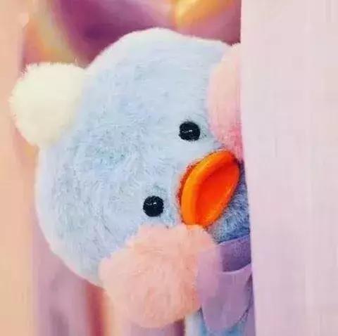 36张网红玻尿酸鸭头像图：遇见就好了，余生就算了