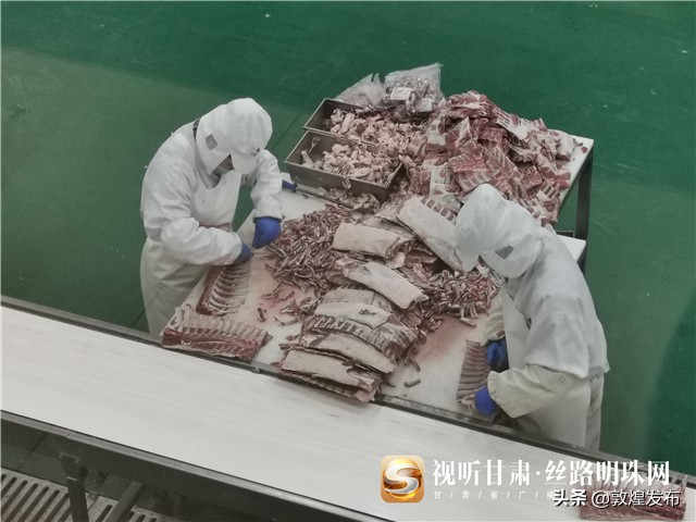 脱贫攻坚短视频央视网,环县脱贫攻坚工作