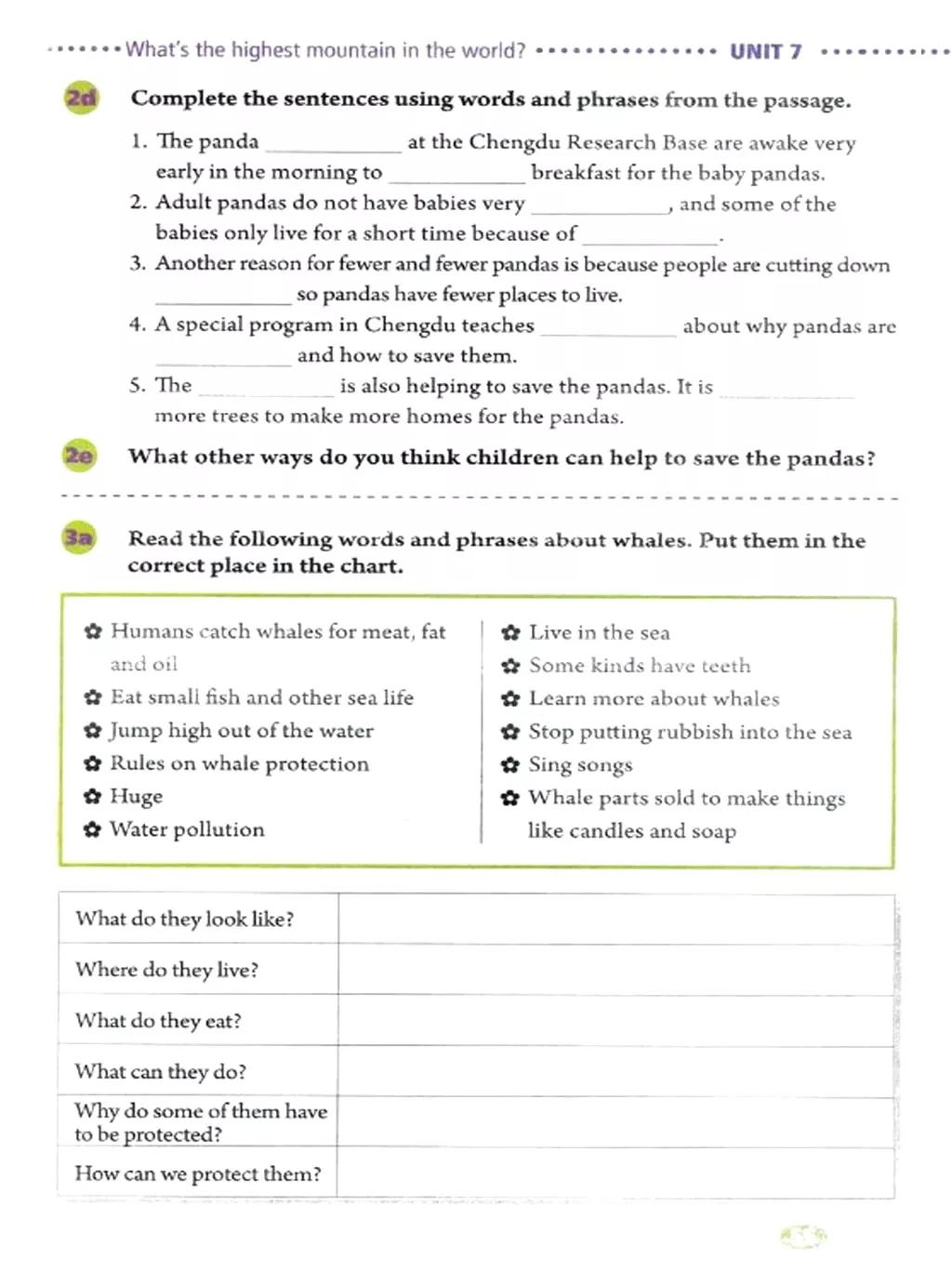 寒假复习预习书英语,人教英语八下预习寒假