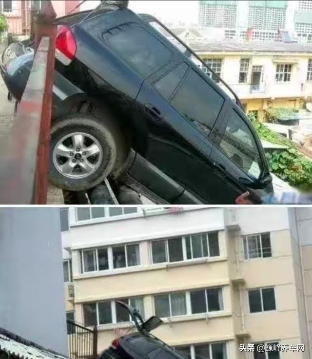 女司机可怕有文化的女司机更可怕,女司机可怕吗