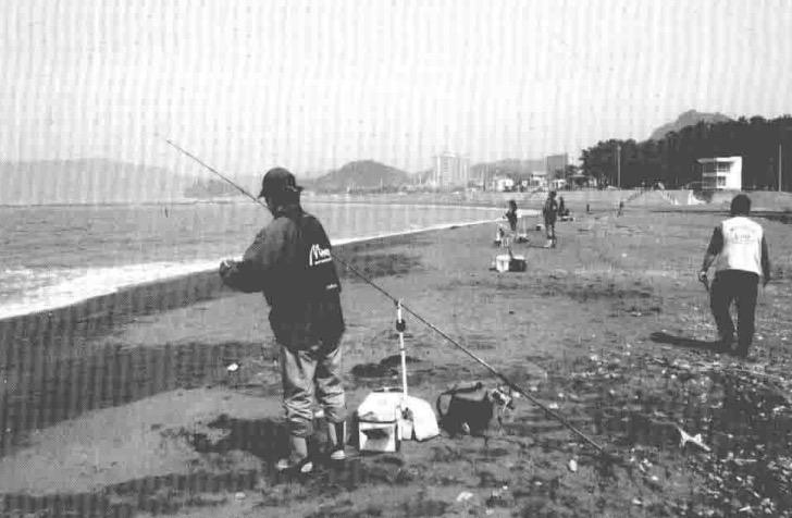 海钓初学者使用什么钓具,海钓用什么饵初学者入门教程