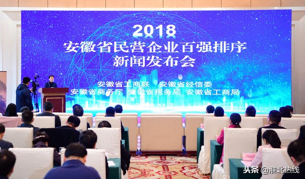 2018年安徽省民营企业百强,2018年安徽省百强企业名单