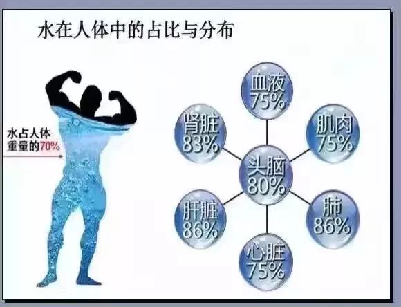 喝过真正的好水吗？喝酵素，首先就意味着喝好水