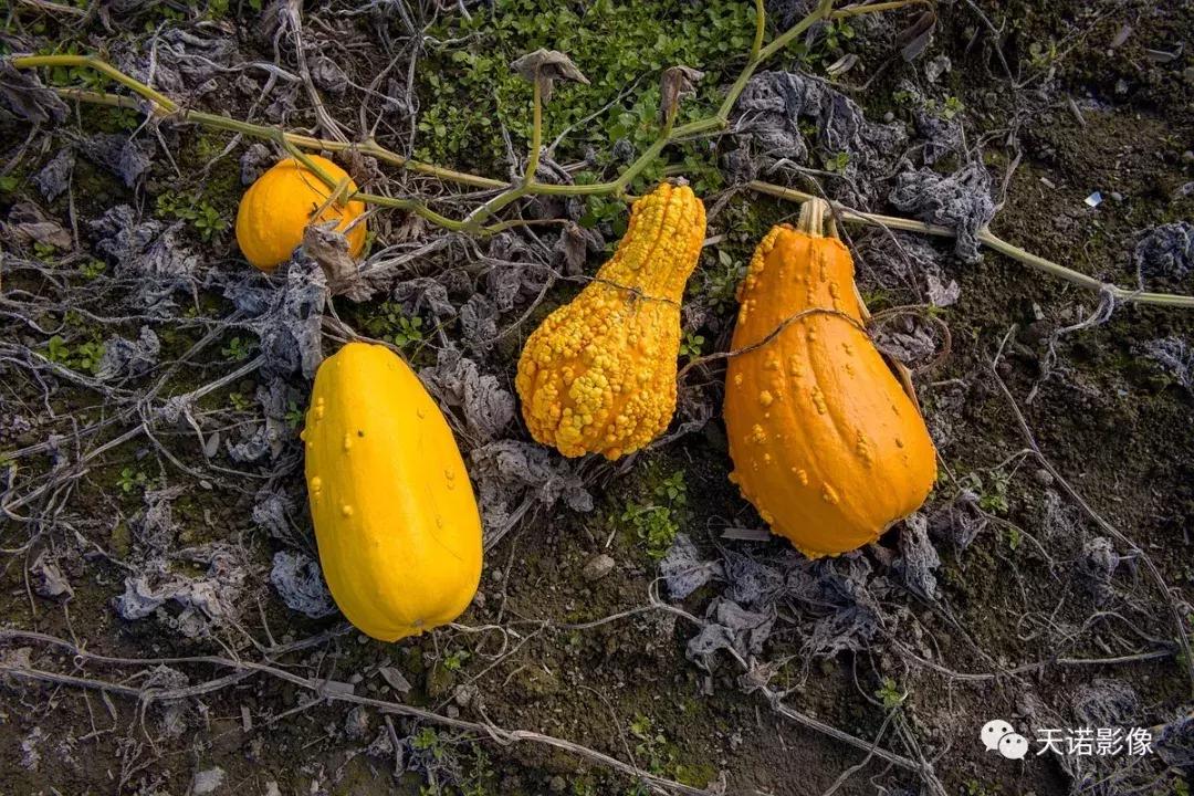 徕卡m10p电影摄影评测,徕卡相机m10r评测