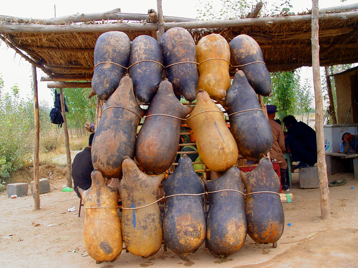 宁夏到新疆旅游攻略必去景点,宁夏沙坡头三日游自助旅游攻略