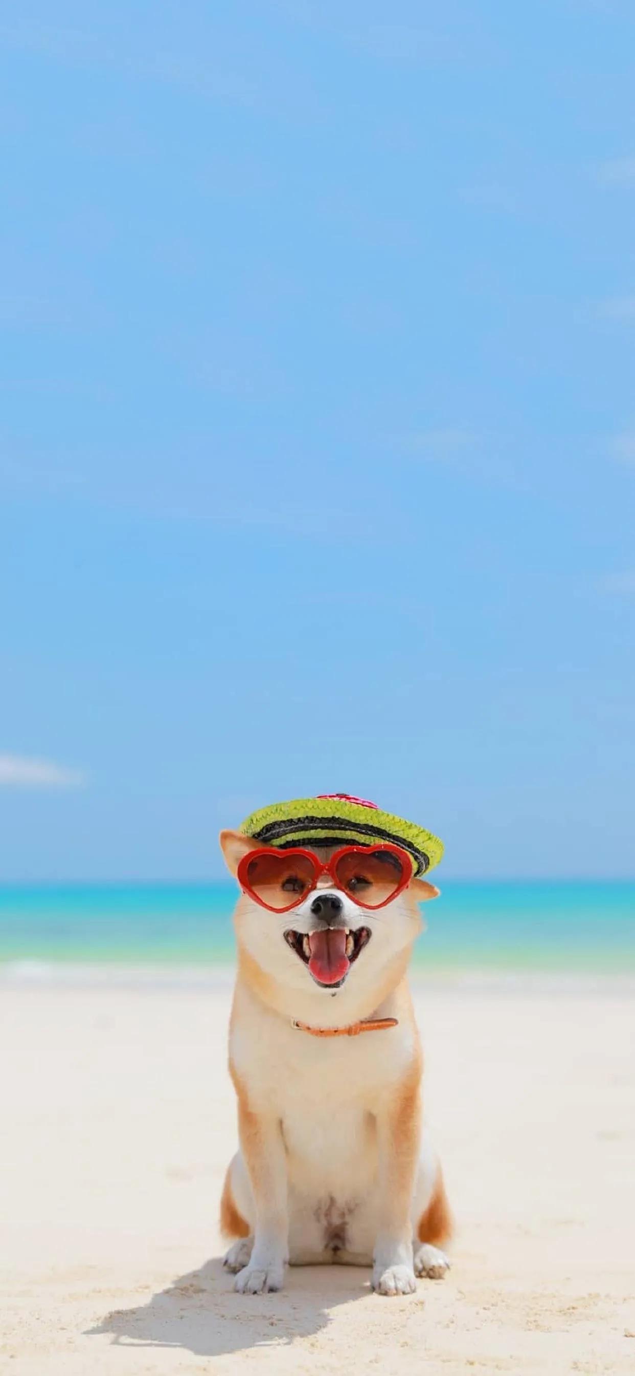 壁纸不管你做什么都要做到极致,不做别人公主只做自己的女王壁纸