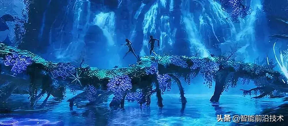 神奇“树联网”,地球本身是一个巨大的超生物体