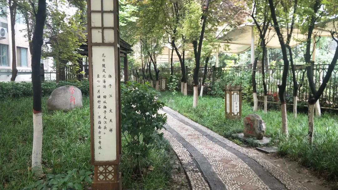 西安2022小升初网报实时数据,西安小升初信息网