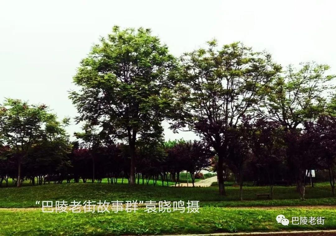 最后的驿站,火葬场人生最后的驿站