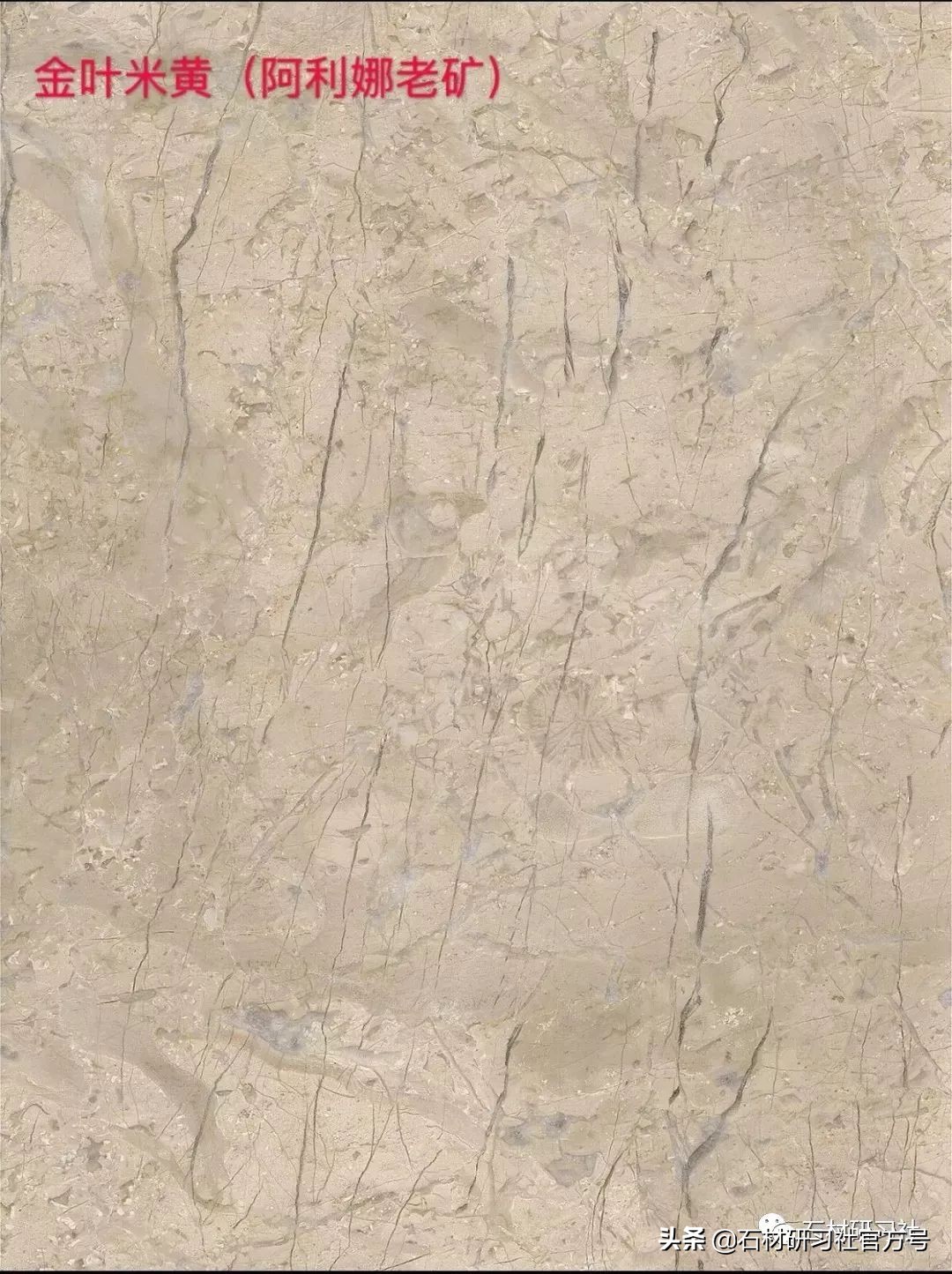 豪宅用的高级天然大理石,别墅铺什么颜色大理石档次最高