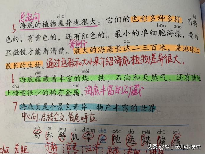 语文三年级下册笔记海底世界,海底世界三年级知识重点