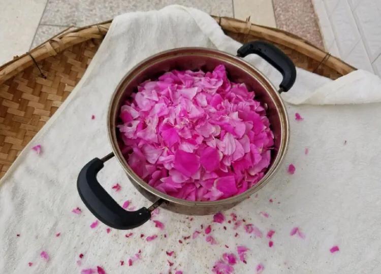 怎样做玫瑰花酱才没有涩味,做玫瑰花酱用白糖好还是红糖好