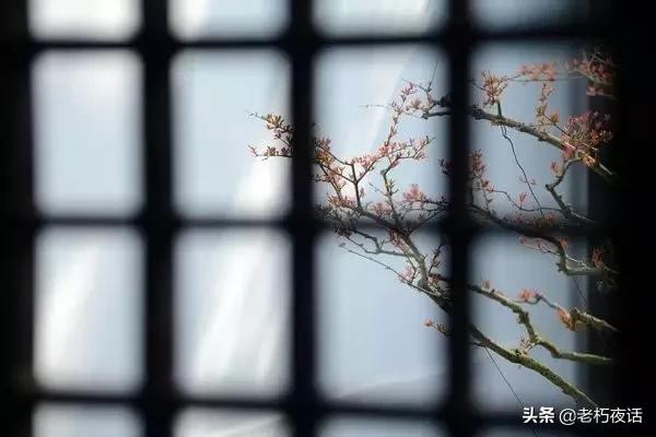 怪体诗的形式有哪些,那些奇葩诗人