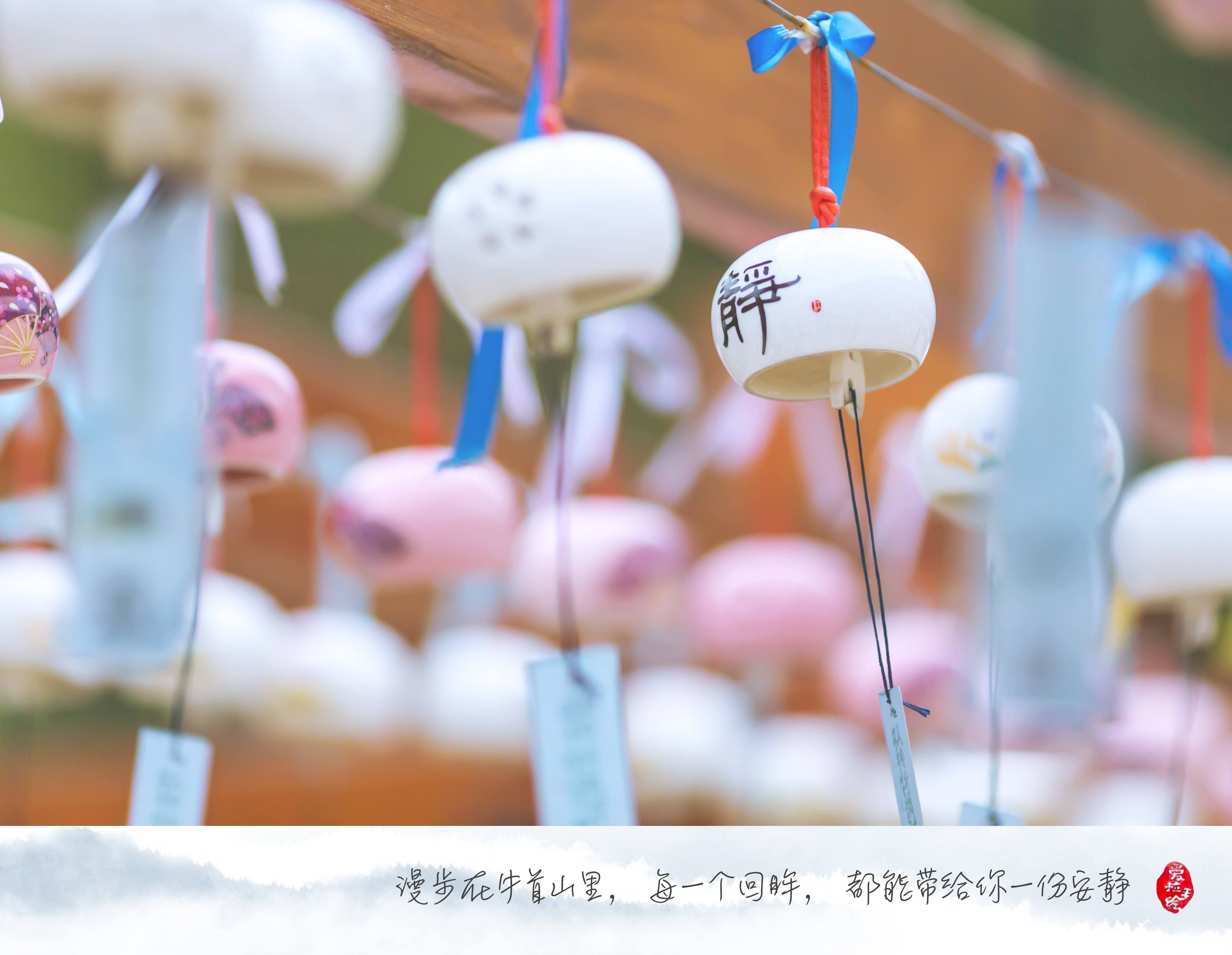 释迦牟尼舍利子头盖骨,释迦牟尼的真身头盖骨