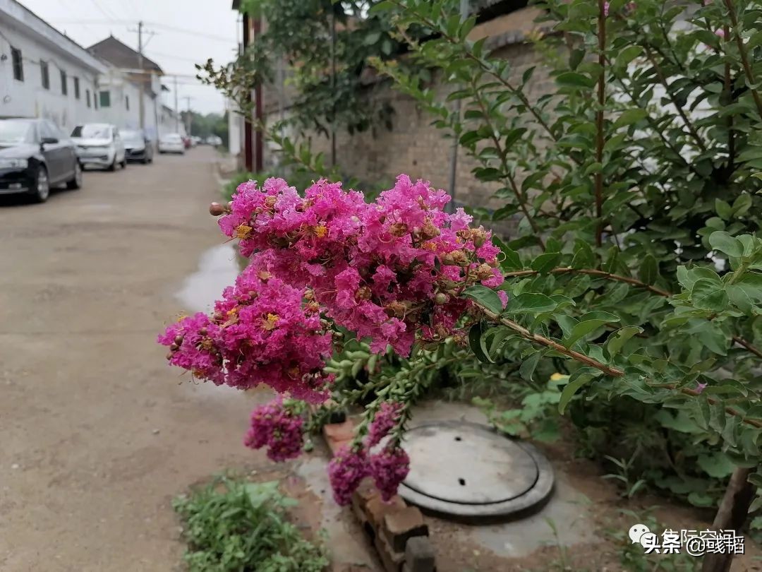 周末回老家的惬意时光,周末回农村的乐趣