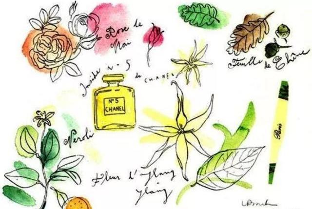 香奈儿n5香水五周年 (chanel的n5香水)