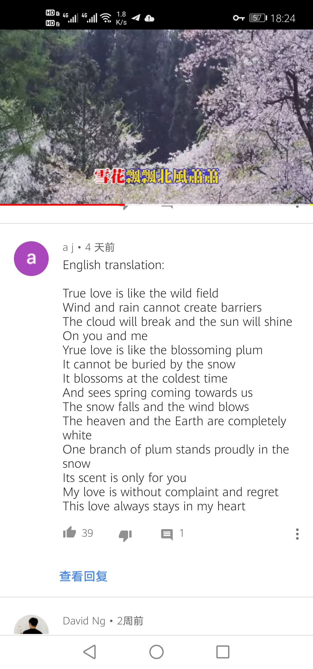 费玉清雪花飘飘北风萧萧完整版,费玉清雪花飘飘北风萧萧的含义